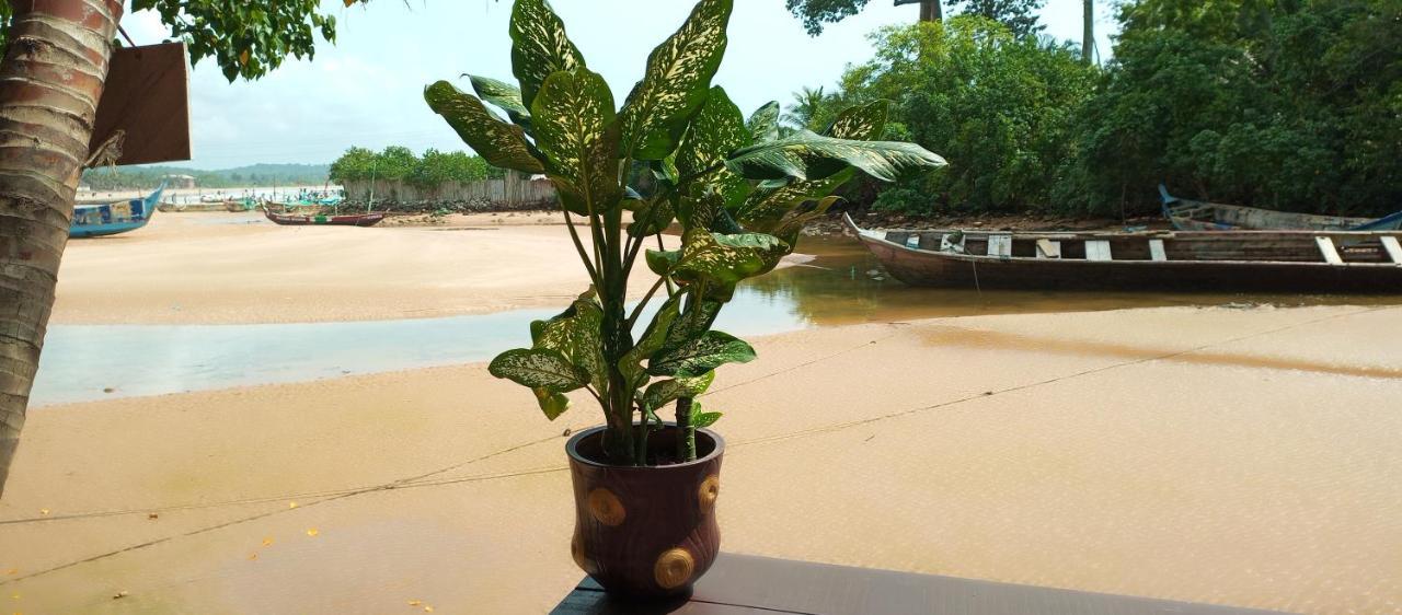 Scorpion Hill Lodge Busua Quarto foto